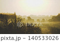Early foggy morning. The sun rises over a green plantation with young palm trees beautiful landscape of Southeast Asia. High quality 4k footage 140533026