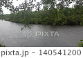 Summer Rain Falling on Calm River Surrounded by Green Forest. Scenic landscape with raindrops on water surface of river and lush trees. Peaceful nature scene in countryside during rainy weather 140541200