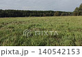 Field of grass swaying in the wind. Vast green grass field with forest in background on cloudy summer day. Beautiful rural landscape of countryside meadow. Natural environment view with wild lawn 140542153