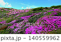 ミヤマキリシマ満開の山々_大分県 くじゅう連山 140559962