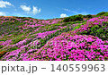 ミヤマキリシマ満開の山々_大分県 くじゅう連山 140559963