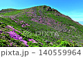 ミヤマキリシマ満開の山々_大分県 くじゅう連山 140559964