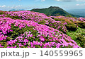ミヤマキリシマ満開の山々_大分県 くじゅう連山 140559965