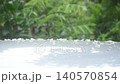 orange jasmine tropical flower scented at night and petal falling from wind blow to silver car rooftop 140570854