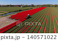 Aerial view of a green tractor working in vibrant red tulip fields with straight geometric rows in the Dutch countryside, agricultural flower farming in the Netherlands. 140571022