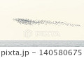 鳥の群れ 140580675