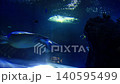 Sea turtle gliding gracefully through dark aquarium waters, surrounded by colorful fish and illuminated by soft light from above, showcasing the vibrant underwater ecosystem in motion 140595499