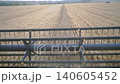 Close up knife of combine spinning and cutting ears of wheat. Grain harvester working in field. View on process of gathering barley from inside cabin. Concept of harvesting. Beautiful view. Slow mo 140605452