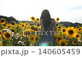 Camera tracking carefree woman walking among high blooming sunflowers. Girl going through field enjoying freedom and beautiful summer nature at sunset. Scenic landscape on background. Slow motion 140605459
