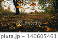 Yellow autumn leaves falling to ground in forest with sunlight at background. Bright sunset light shining through falling foliage. Beautiful natural landscape. Colorful fall season. Slow motion 140605461