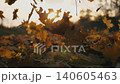 Detail view on yellow autumn leaves slowly falling down. Ground covered with dry vivid foliage. Sunset light shining through fallen leaves. Colorful fall season. Slow motion Close up 140605463