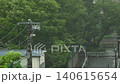 颱風和暴雨帶來的狂風暴雨中，電線桿和樹木搖曳。 140615654