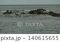海鳥在崎嶇不平的岩石海岸上空翱翔，白色的海浪拍打著岩石。 140615655