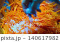 Preparing Fermented marinated carrot salad. Korean style Healthy food. Sprinkle the salad with salt 140617982