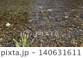 River flow 140631611