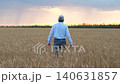 agriculture, wheat field, golden wheat farm field sunset, farmer walking through wheat field sunset with hands up, happy farmer business, successful farmer businessman concept, running successful 140631857