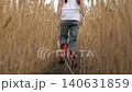agriculture, wheat field, golden wheat farm field sunset, child kid walking through wheat field rubber boots, agriculture, girl daughter farmer, golden ears corn, children walk field outdoors 140631859