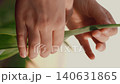 corn agriculture, close-up child hand, green leaf corn sunset, childhood farm, child life farm, hand touching green leaves sprouts field sunset, rural land concept, child kid agriculture, eco children 140631865