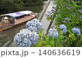 Matsue Castle moat and hydrangeas in Matsue City, Shimane Prefecture during the rainy season_10bit_4:2:2_fixed 140636619