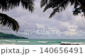 Amazing coconut palm trees in paradise Phuket island Thailand, Beautiful video for Summer background and travel website 140656491