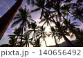 Amazing coconut palm trees in paradise Phuket island Thailand, Beautiful video for Summer background and travel website 140656492