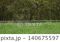 Snow flakes fall on green grass in park. Weather cataclysms and abnormal snowfall during warm season. Extreme weather conditions during abrupt seasonal change, sudden cold snap and frost. 140675597