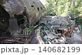 Bomber airplane wreck lying in a lush green mossy temperate forest 140682199