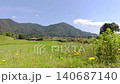 一片寧靜的鄉村景色，點綴著黃色的花朵。 140687140