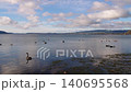 Lake Rotorua 140695568