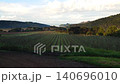 Waiheke Island Vineyard 140696010