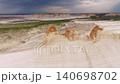 Aerial view of unique rock formations and expansive landscape under cloudy sky 140698702