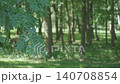 Leaves move in a summer forest, with branches in focus and soft trees in the background 140708854