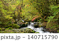 Autumn foliage at Tateshina Great Waterfall in Nagano Prefecture 140715790