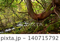 Autumn foliage at Tateshina Great Waterfall in Nagano Prefecture 140715792
