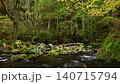 Autumn foliage at Tateshina Great Waterfall in Nagano Prefecture 140715794