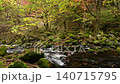Autumn foliage at Tateshina Great Waterfall in Nagano Prefecture 140715795