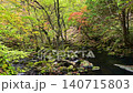 Autumn foliage at Tateshina Great Waterfall in Nagano Prefecture 140715803