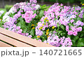 雨中の紫陽花 140721665