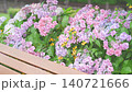 雨中の紫陽花 140721666