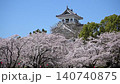 Nagahama Castle in spring with cherry blossoms in bloom (Nagahama City, Shiga Prefecture, April 2026) 140740875