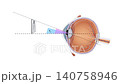 Human Eye Field of Vision Animation Peripheral Vision, Visual Field, Eye Anatomy, Vision Science, Healthcare, Medical Education, 2D and 3D Animation 140758946