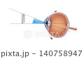 Field of View Animation Human Eye Anatomy, Peripheral and Central Vision, Visual Perception, Ophthalmology, Medical Science, 2D and 3D Educational Visualization 140758947