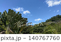奄美大島（蘇刈）の美しい熱帯の森と青い空の風景 140767760