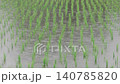 田んぼに降る雨 140785820
