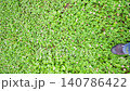 A first-person perspective video showing the feet walking across lush green grass. 140786422
