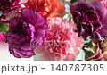 Carnation flowers macro video with camera zoom in and zoom out movement 140787305