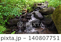 A stream and a small waterfall flowing through the primeval forest 140807751
