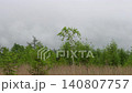 The scenery of Senjogahara with clouds drifting across the overcast sky. 140807757