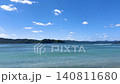 奄美大島ヤドリ浜の美しい海　押し寄せる波　日本風景 140811680