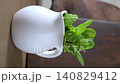 Fresh Mint Leaves in a White Ceramic Pitcher 140829412